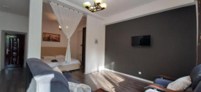 Great studio apartment